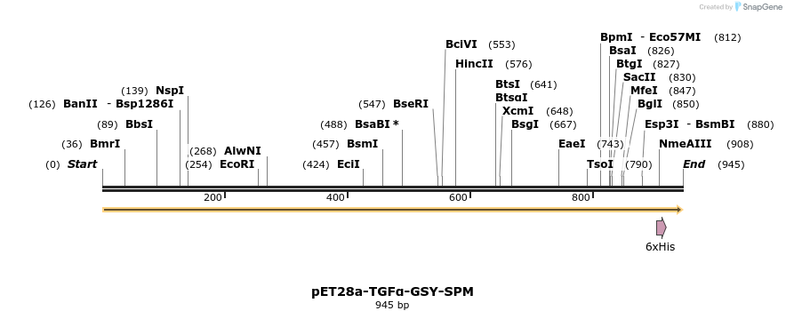 317035_map