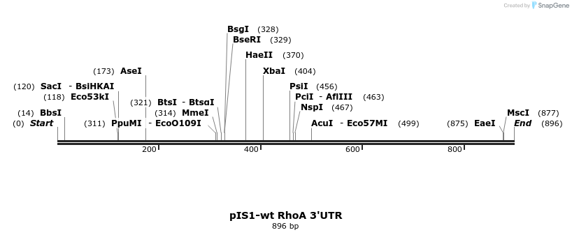 31704_map