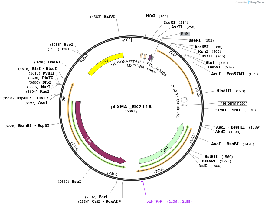 317042_map
