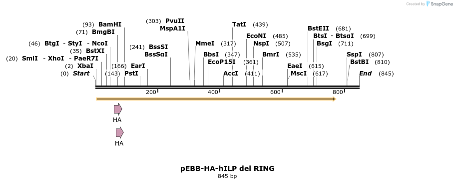 31710_map