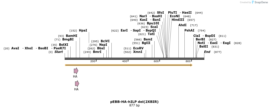 31711_map