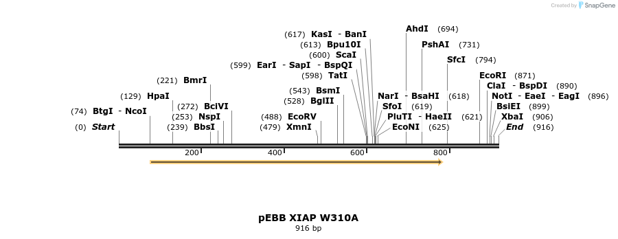 31712_map