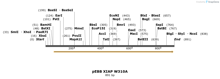 31713_map