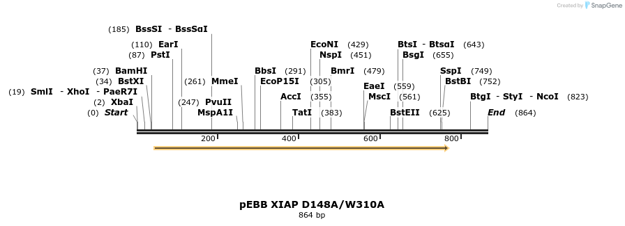 31715_map