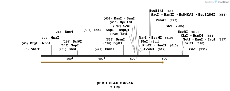 31716_map