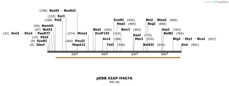 31717_map