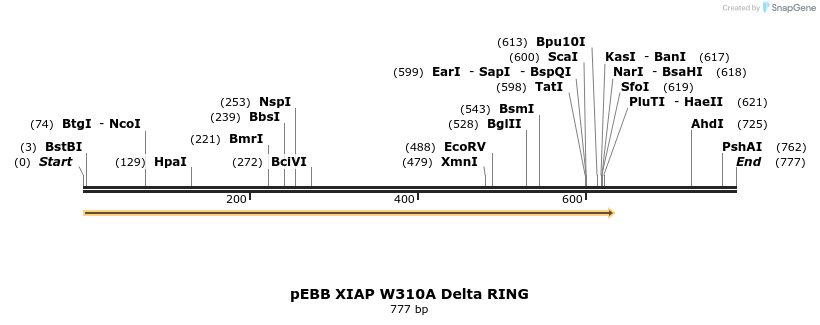 31718_map