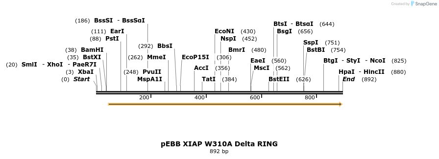 31719_map