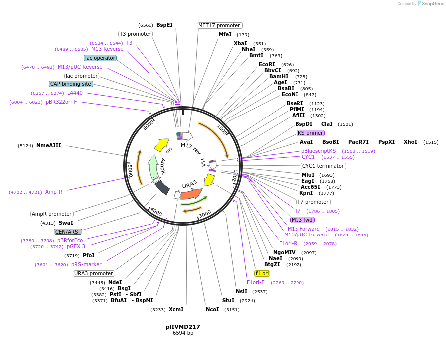 317200_map
