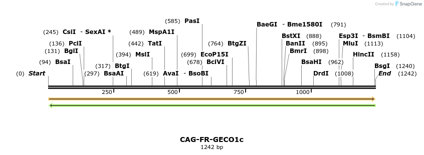 317205_map