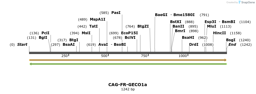 317206_map