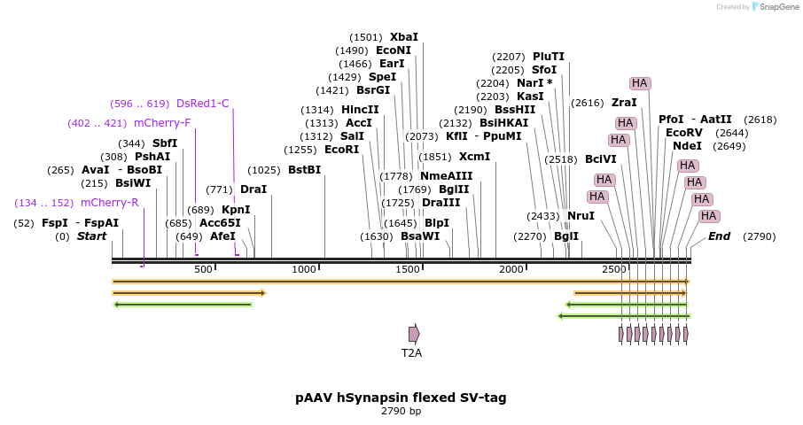 317219_map
