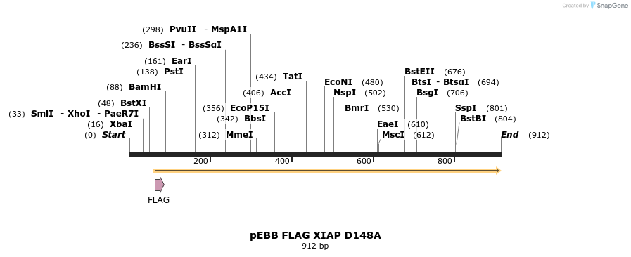 31722_map