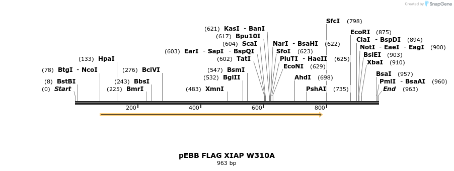 31723_map