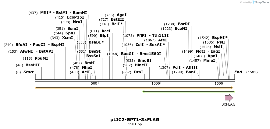 317236_map