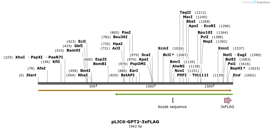317239_map