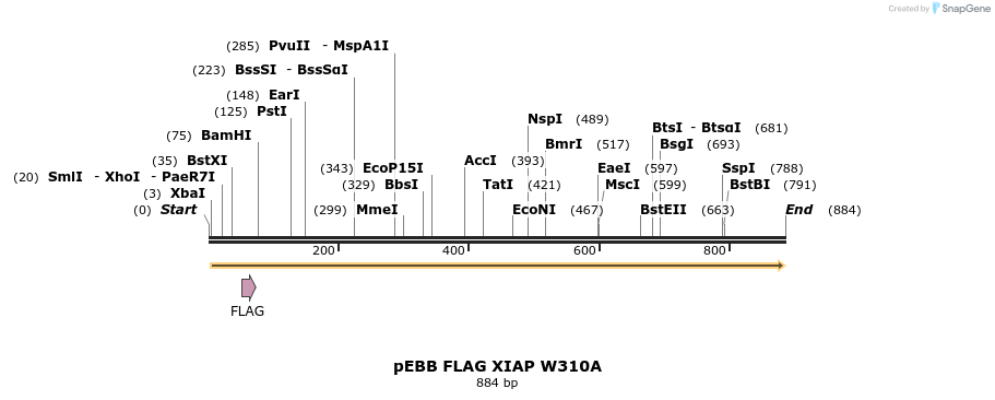 31724_map