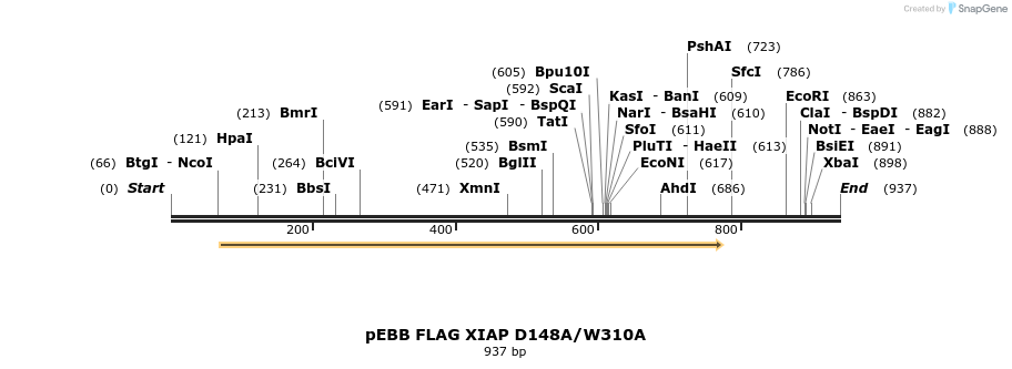 31725_map