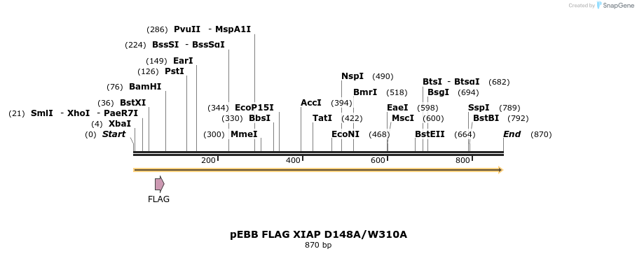 31726_map