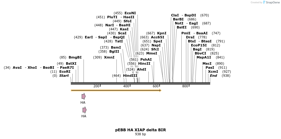 31727_map