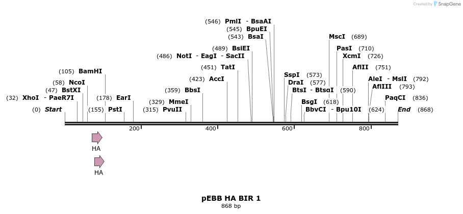 31728_map