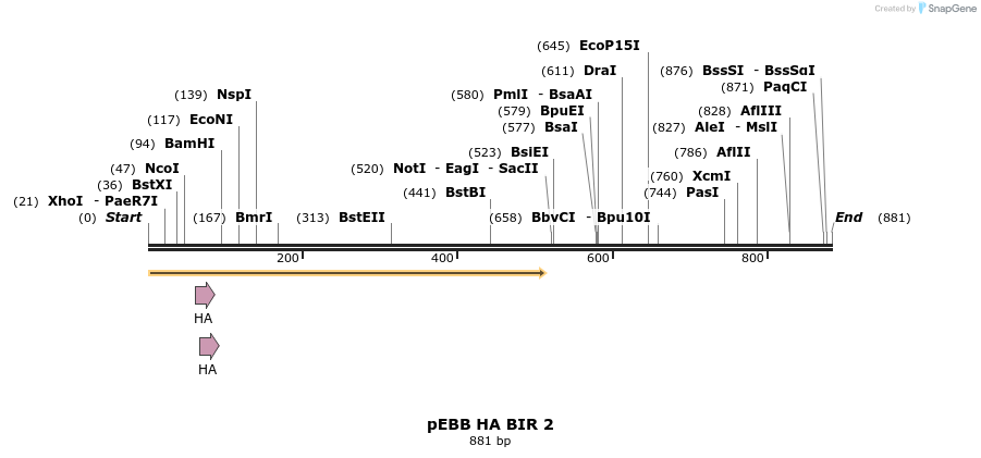 31729_map