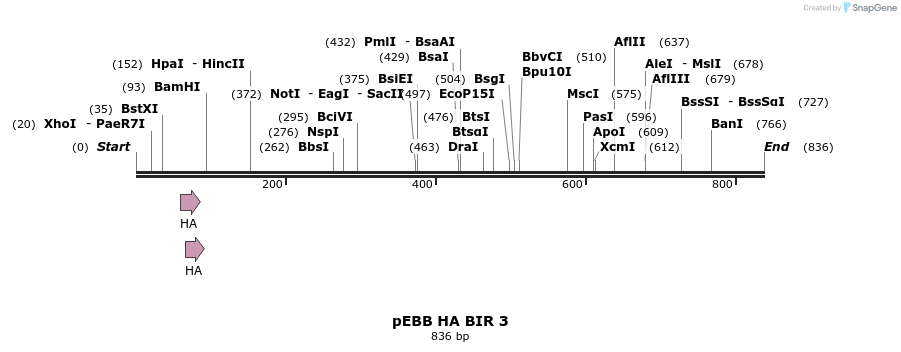 31730_map