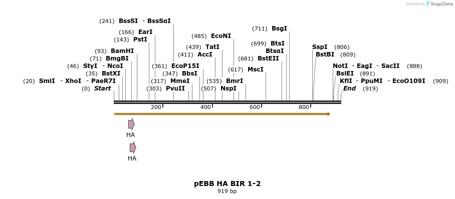 31731_map