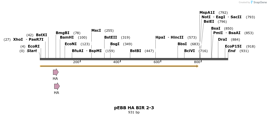 31732_map