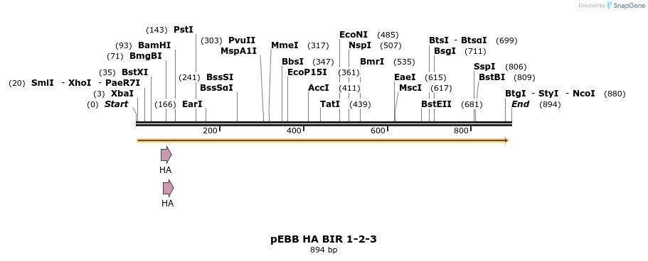 31734_map