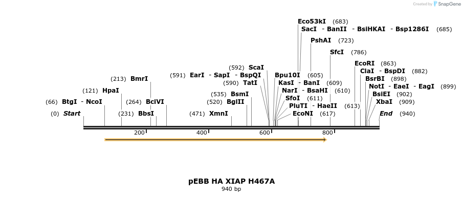 31735_map