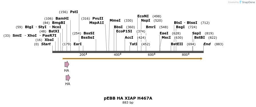 31736_map