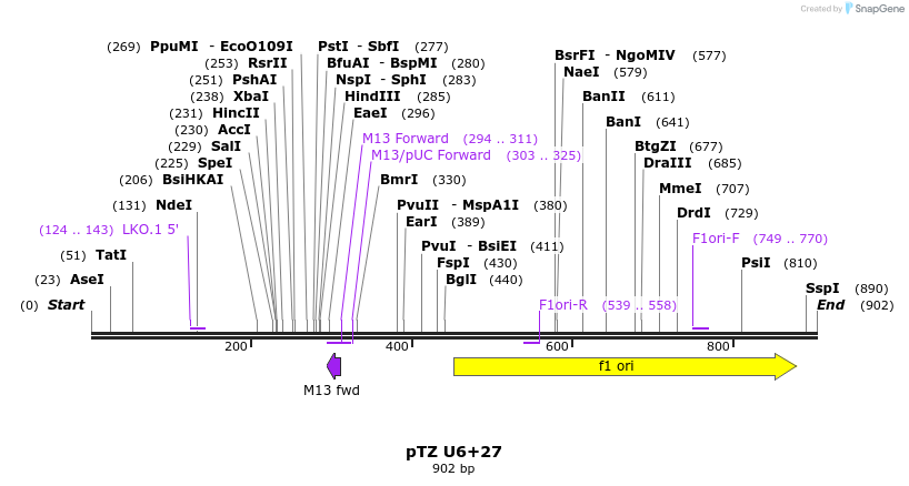 31737_map