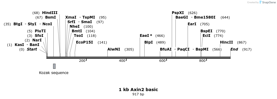 31740_map