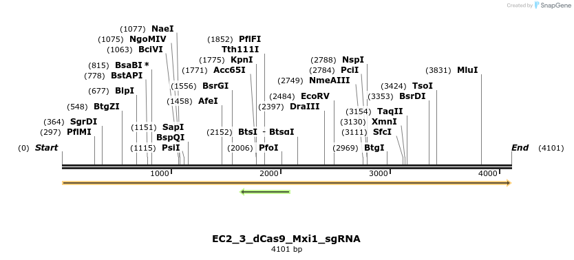 317412_map
