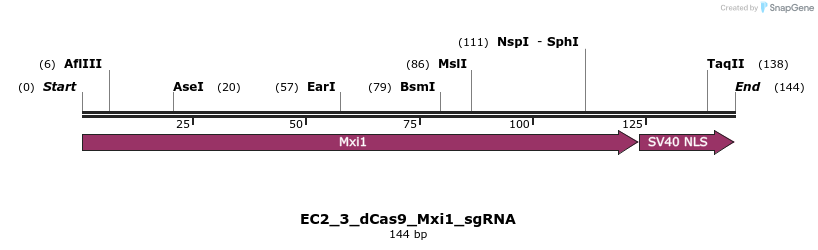 317413_map