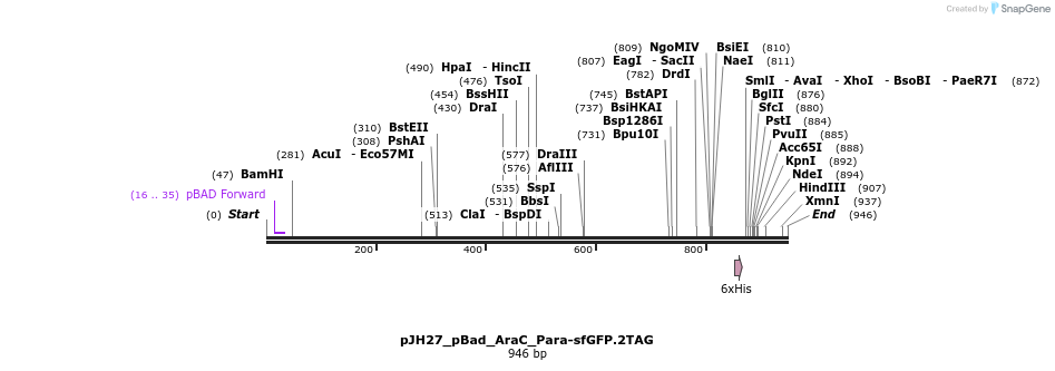 317461_map