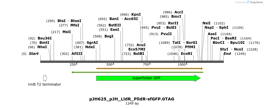 317463_map