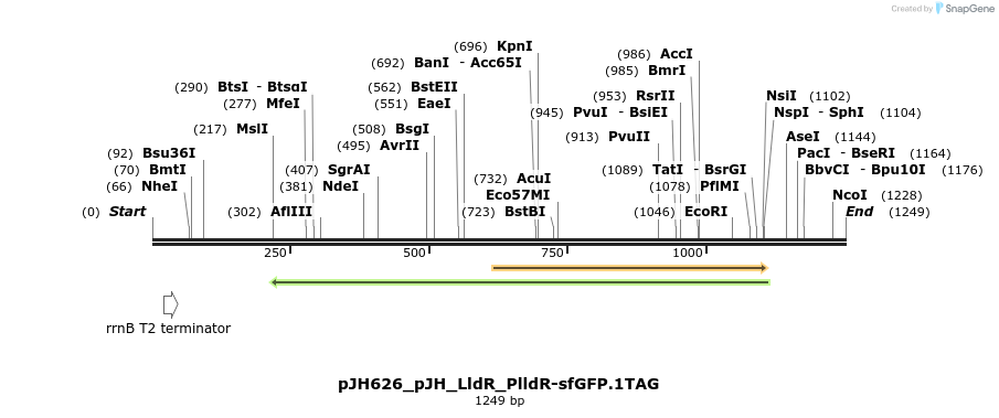 317464_map
