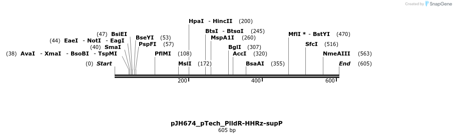 317467_map