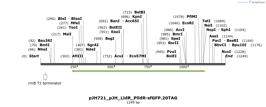317468_map