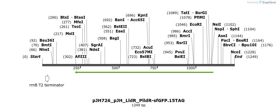 317469_map