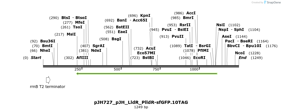 317470_map