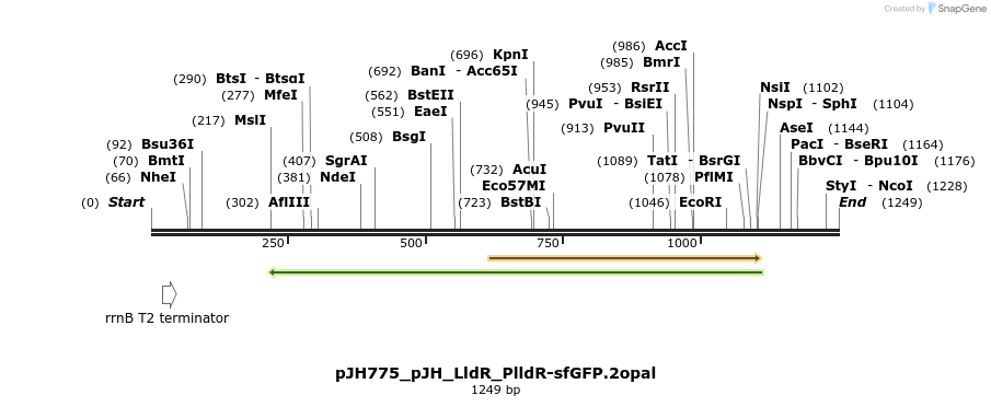 317473_map
