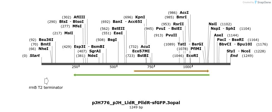 317474_map
