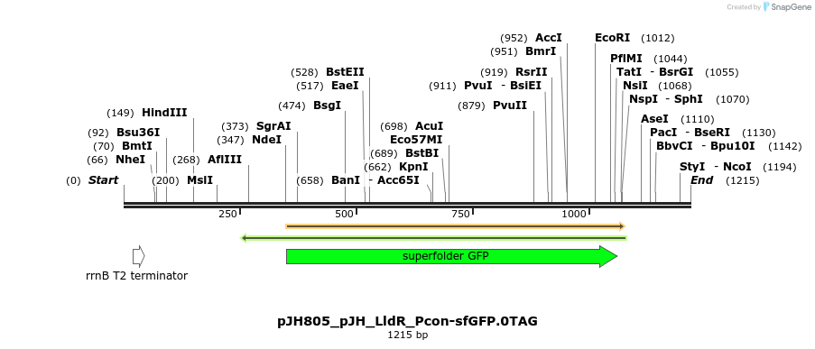 317475_map