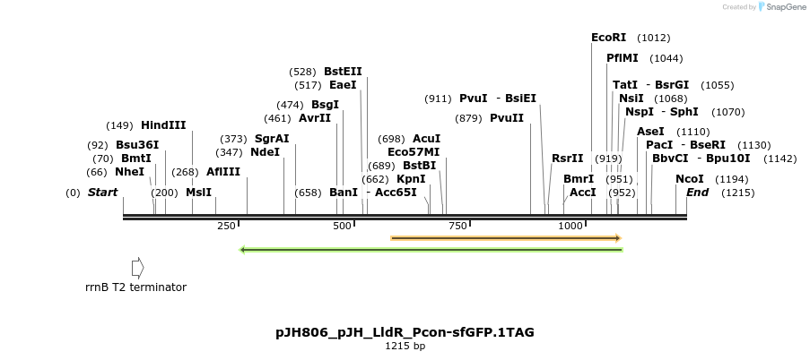 317476_map