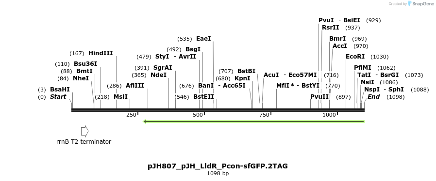 317477_map