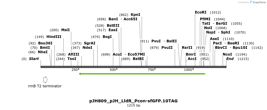 317478_map