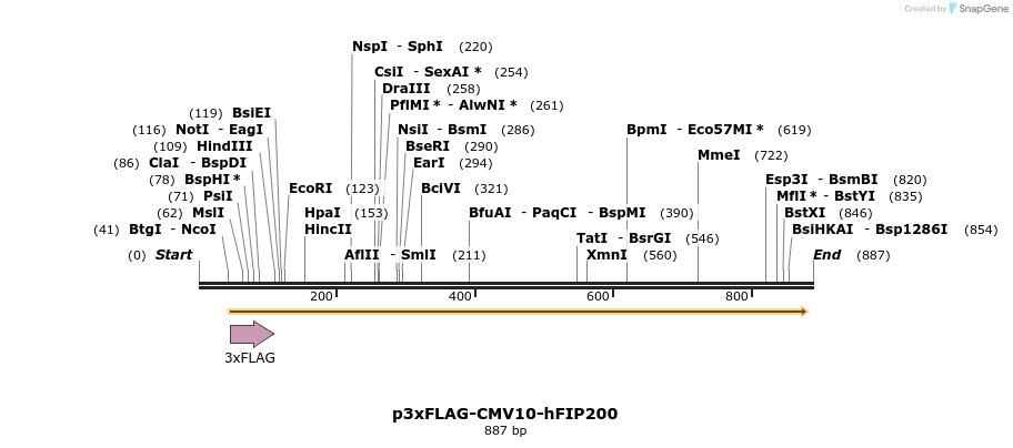 31759_map